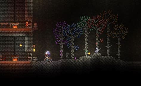 terraria amber|how to grow gemcorns terraria.